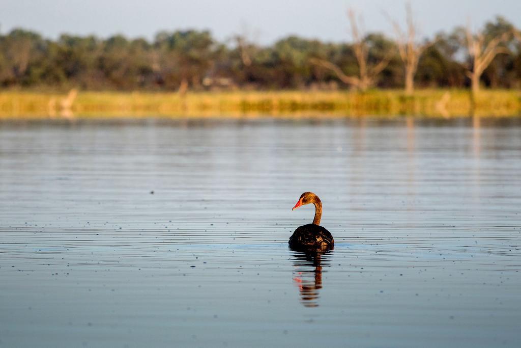 Discovery Parks - Lake Bonney Barmera Exteriér fotografie